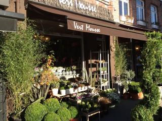 Fleuriste Vert Mousse 0