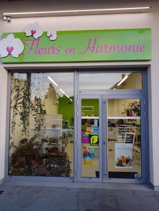 Fleuriste Fleurs en Harmonie 0