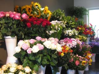 Fleuriste Champ Fleurs, Artisan Fleuriste 0