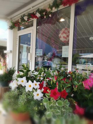 Fleuriste CARPE DIEM Fleuriste 1