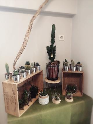 Fleuriste CARPE DIEM Fleuriste 2