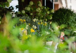 Fleuriste Alysse Fleurs 0