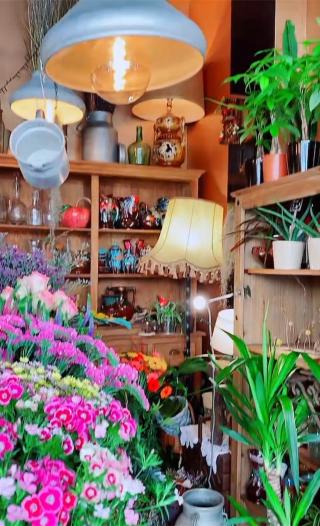 Fleuriste FLEURS PIÉRIC HEUTTE ROUEN 0