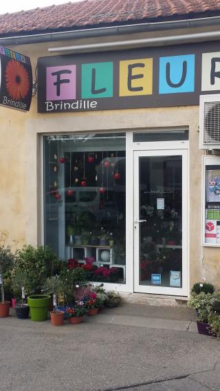Fleuriste Brindille Fleurs 0
