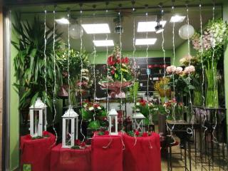 Fleuriste Nénuphars 2