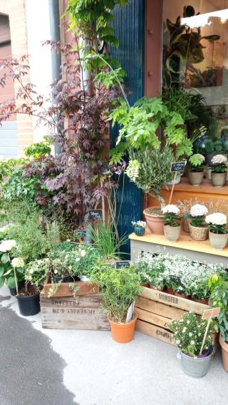 Fleuriste L'instant Bucolique 0