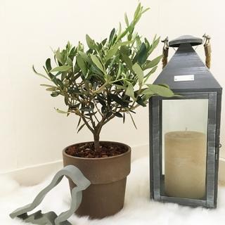 Fleuriste Interflora 0