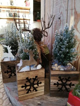 Fleuriste Le Temps d'une fleur - Gessa fleurs 0