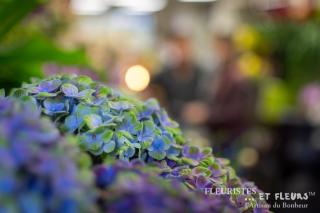 Fleuriste Fleuriste, Graineterie, Inna Richard 0