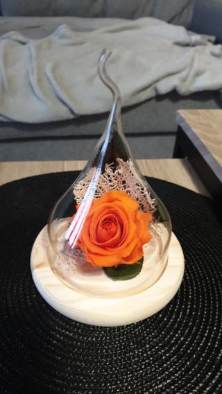 Fleuriste CAPUCINE (Interflora) 0