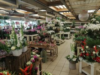 Fleuriste Orange et Vert 0