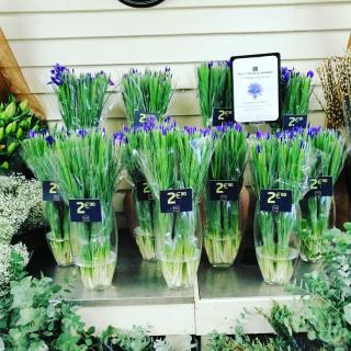 Fleuriste Orange et Vert 0