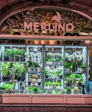 Fleuriste Merlino Fleurs 0