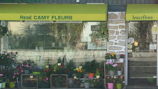 Fleuriste Maison René Camy Fleuriste 0