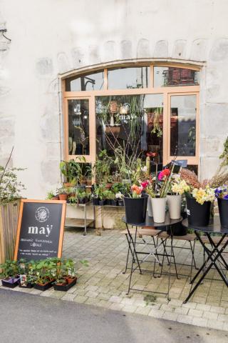 Fleuriste MAŸ JARDINERIE FLEURISTE 0