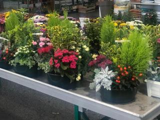 Fleuriste Jardinerie Coulange 0