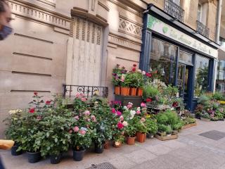 Fleuriste Un Amour De Jardin 2