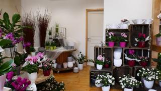 Fleuriste Carole Braun Fleuriste 0