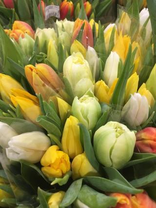 Fleuriste Atelier 5 ème Saison, Fleuriste 0