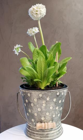 Fleuriste L'ATELIER 0