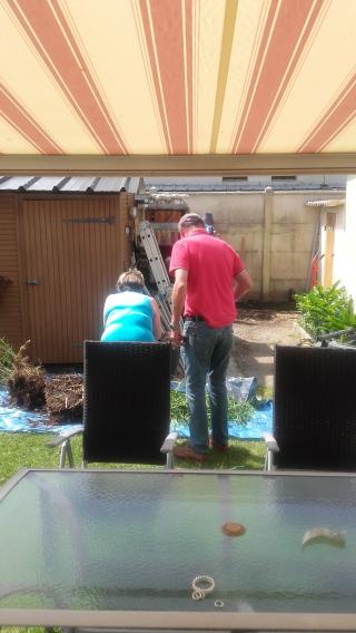 Fleuriste LA VIE EN ROSE 1