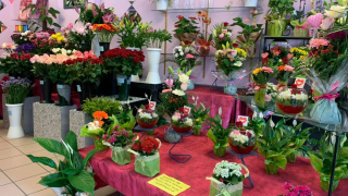 Fleuriste Fleuriste Rotsaert 0