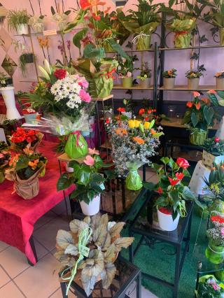 Fleuriste Fleuriste Rotsaert 0