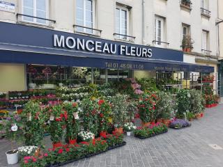 Fleuriste Monceau Fleurs 0