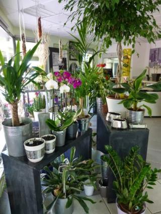 Fleuriste Fayolle Fleurs 0