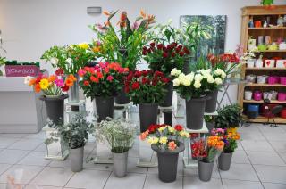 Fleuriste Fayolle Fleurs 0