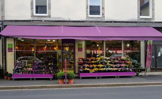 Fleuriste FLEURS ET SENTIMENTS 0