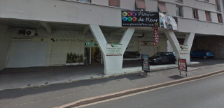 Fleuriste Plaisir de fleur 0