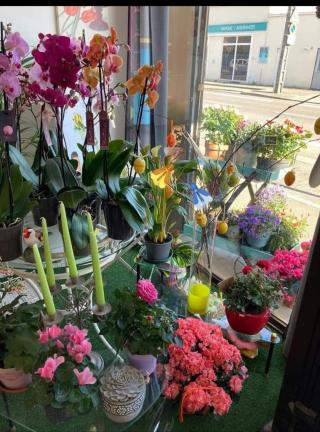 Fleuriste L' Ardisia Fleurs 0