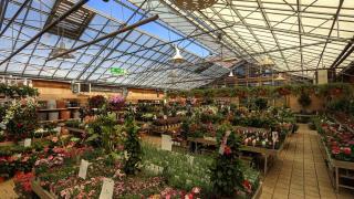 Fleuriste botanic Annecy-le-Vieux 0