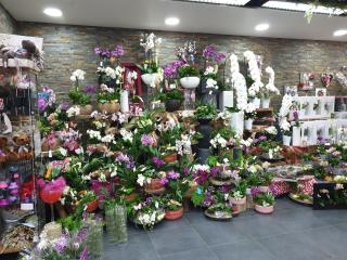 Fleuriste la plaine fleurie 0