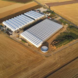 Fleuriste Serre de Winter 2