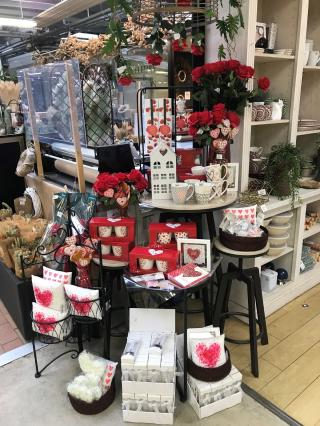 Fleuriste Jardinerie Truffaut d'Isneauville 0