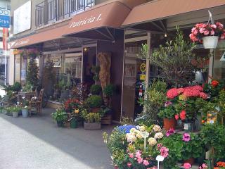 Fleuriste Au Camelia Legoupil patricia 0