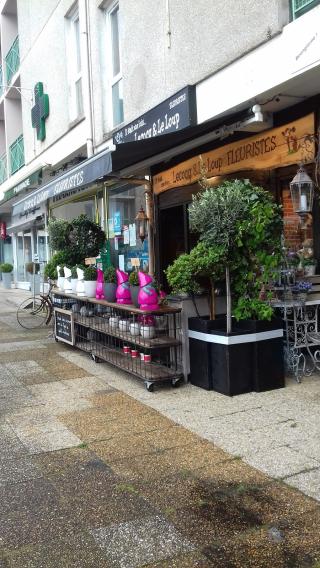 Fleuriste Lecocq & Le Loup 0