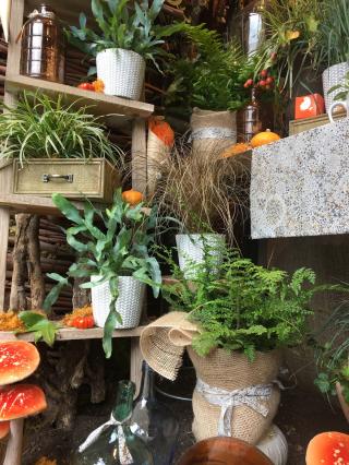 Fleuriste Parc des fleurs, Artisan Fleuriste Toulouse 0