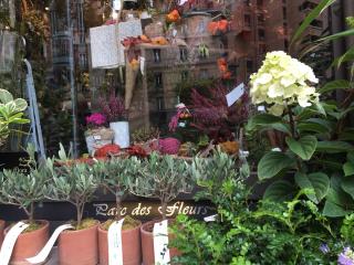 Fleuriste Parc des fleurs, Artisan Fleuriste Toulouse 0