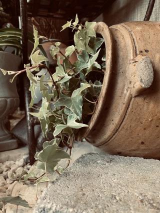 Fleuriste Parc des fleurs, Artisan Fleuriste Toulouse 0