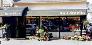 Fleuriste Au Camelia Legoupil patricia 0