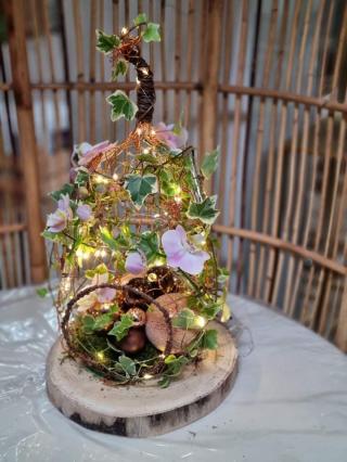 Fleuriste Hellébore, Fleuriste Pau 0