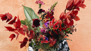 Fleuriste JUNGLE UTOPIA , Fleuriste Toulouse 1