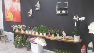 Fleuriste L'atelier de Marie 0