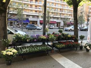 Fleuriste Coeur de Fleurs 0