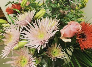 Fleuriste Elodea FLEURISTE 0