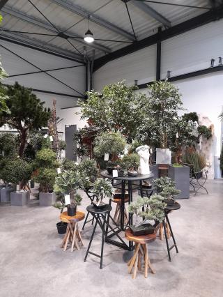 Fleuriste Ambiance florale Blois & Fleur Drive Blois 1