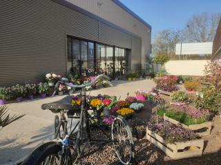 Fleuriste Ambiance florale Blois & Fleur Drive Blois 2